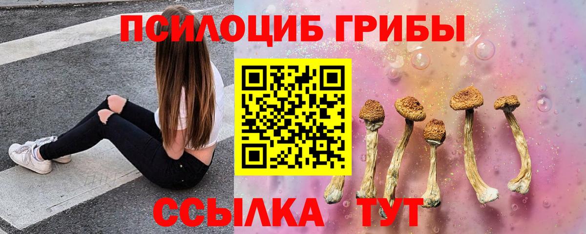 Коряжма  Галлюциногенные грибы прущие грибы  Вход с VPN 